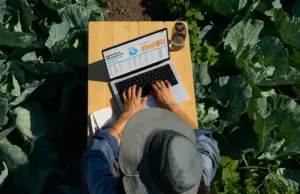 Apple iMac 24" All-in-one Silver - 10-ytiminen M4, 16GB RAM, 512GB SSD